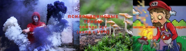 крисы Алексин