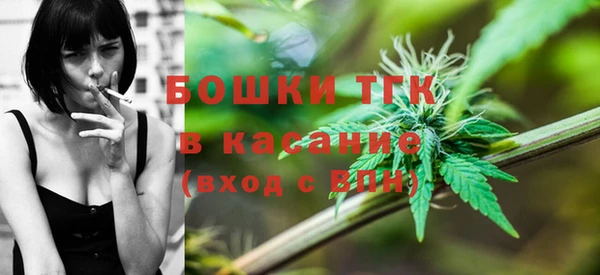 крисы Алексин