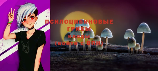 МДМА Алексеевка