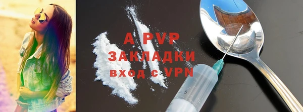 дмт Тайга