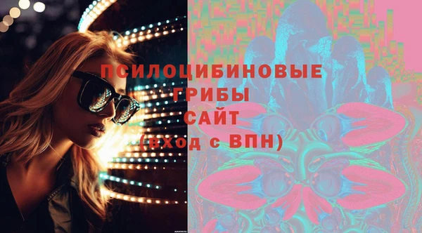 крисы Алексин